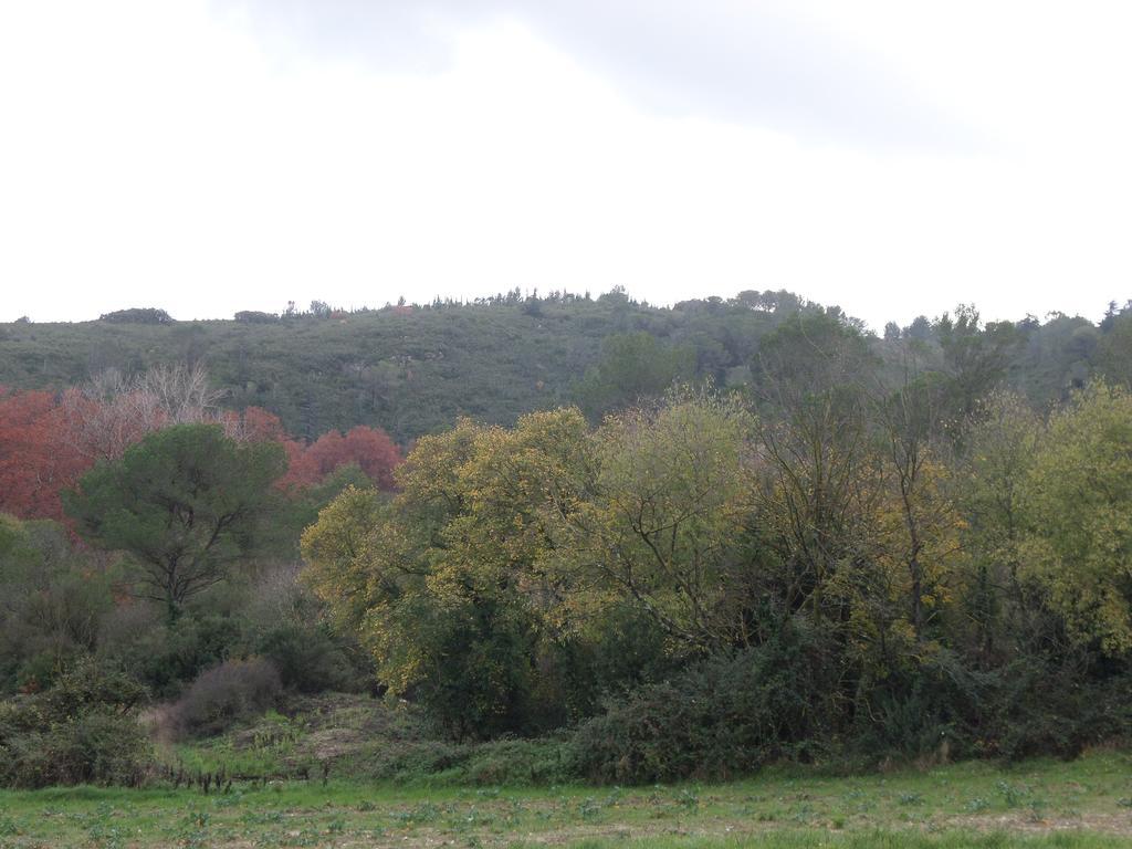 Appart'17-domaine De La Source Uzes